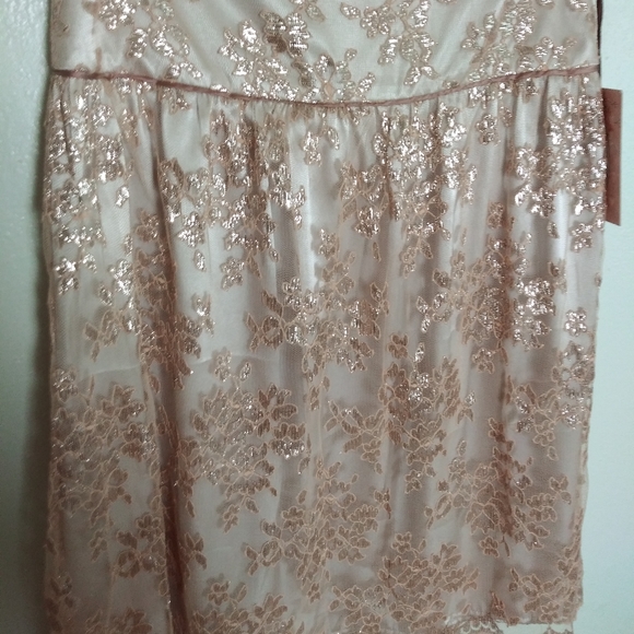 Wendy Hil Gold Rose Lace Scalloped Edge Skirt Women's Size 2 Lining - Picture 4 of 12